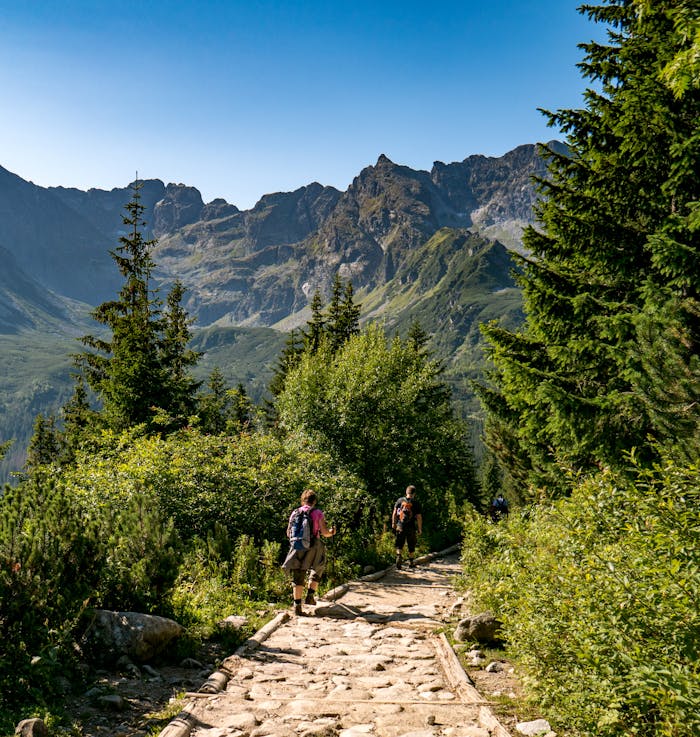 gallery-2 Two adults hiking on a scenic mountain trail surrounded by lush greenery and towering mountains under a clear blue sky.